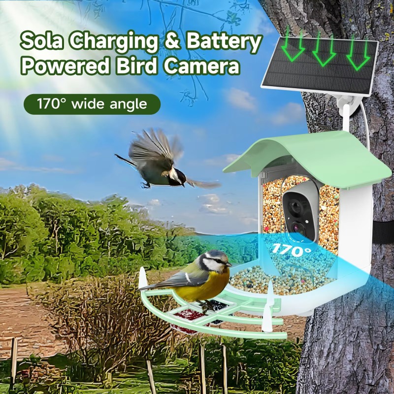 2026 App Video Auto Capture Ca - Smart Bird Feeder Camera review and price