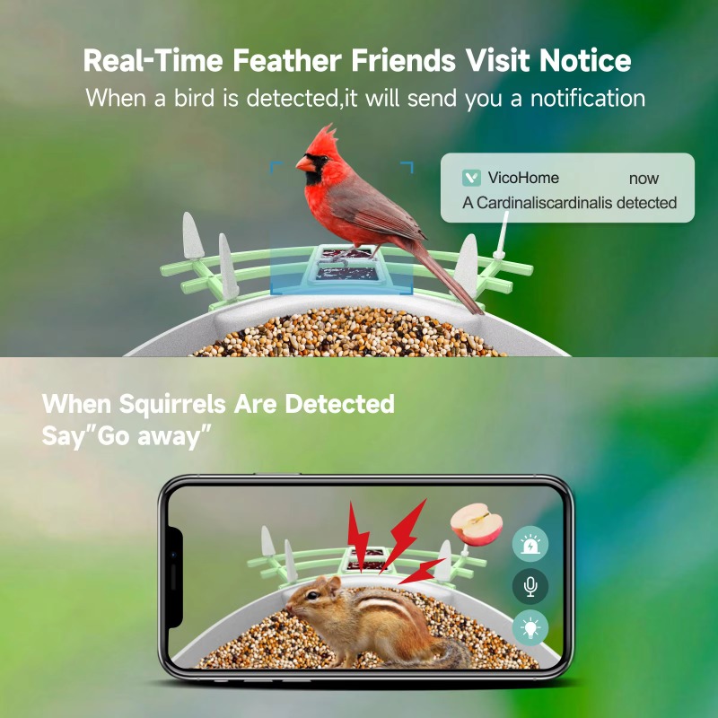 2026 App Video Auto Capture Ca - Smart Bird Feeder Camera review and price